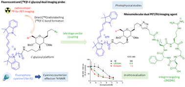 Graphical abstract: Cyanine-based [18F]F-C-glycosyl dual imaging probe: synthesis, physico-chemical characterization, in vitro binding evaluation and direct [18F]fluorination
