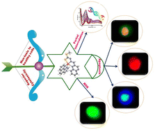 Graphical abstract: Copper(ii) complexes of the CuN4S core: selective cytotoxicity to cancerous cells, ROS generation and induction of apoptosis