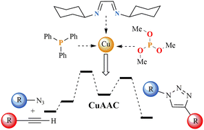 Graphical abstract: Computational studies of the CuAAC reaction mechanism with diimine and phosphorus ligands for the synthesis of 1,4-disubstituted 1,2,3-triazoles