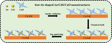 Graphical abstract: Controlled synthesis of bow-tie shaped Au/CdS/CuO nanostructures with improved wettability, photoelectrochemical and photocatalytic properties