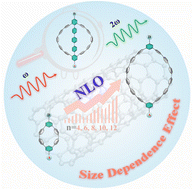 Graphical abstract: Design of D–π–A type carbon nanohoops with enhanced nonlinear optical response: a size-dependent effect study