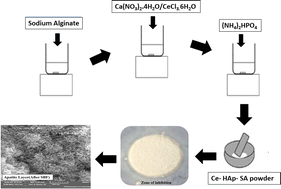 Graphical abstract: Development of a Ce-doped hydroxyapatite–sodium alginate biocomposite for bone and dental implants