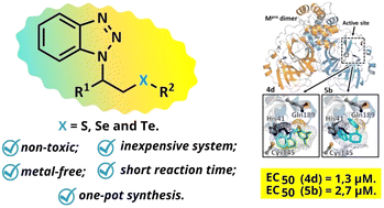 Graphical abstract: Ecofriendly aminochalcogenation of alkenes: a green alternative to obtain compounds with potential anti-SARS-CoV-2 activity