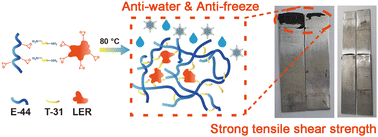 Graphical abstract: High-performance adhesives modified by demethylated lignin for use in extreme environments