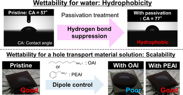 Graphical abstract: Suppressing hydrogen bonds and controlling surface dipole: effective passivation for hydrophobic perovskite photoabsorber layers in solar cells