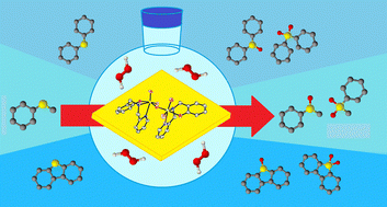 Graphical abstract: Catalytic activity of a new dioxidomolybdenum(vi) complex with a bipodal N2O-donor ligand in sulfur compound oxidation