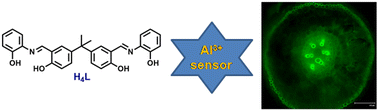 Graphical abstract: Imaging of Al3+ in plant roots by the interaction with a bisphenol A-based chemosensor