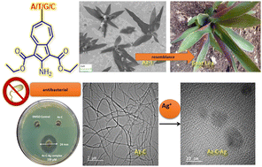 Graphical abstract: Azulene tethered N-aryl nucleobases: synthesis, morphology and biochemical evaluations