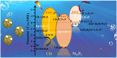 Graphical abstract: Construction of donor-mediator-receptor heterojunctions: Ni12P5/In(OH)3/CdIn2S4 ternary catalyst for photocatalytic hydrogen production