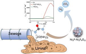 Graphical abstract: Building dual-phased Ni2P–Ni2P4O12 electrocatalysts for efficient urea oxidation reaction