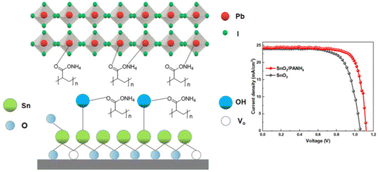 Graphical abstract: Modifying SnO2 with ammonium polyacrylate to enhance the performance of perovskite solar cells