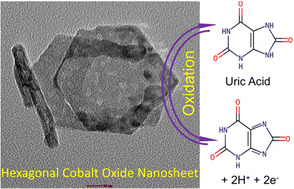 Graphical abstract: Hexagonal cobalt oxide nanosheet-based enzymeless electrochemical uric acid sensor with improved sensitivity