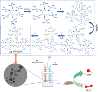 Graphical abstract: Green synthesis and characterization of Ag nanoparticles in a phytic acid/ascorbic acid/sodium hydroxide system and their application in the electrochemical detection of H2O2