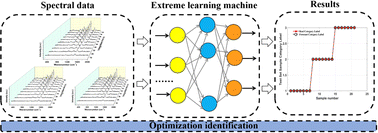 Graphical abstract: Optimized identification of cheese products based on Raman spectroscopy and an extreme learning machine