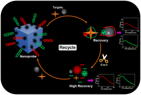 Graphical abstract: A dual-color fluorescent biosensing platform based on amine functionalized 3D copper Prussian blue nanocubes and exonuclease I activity for simultaneous detection of kanamycin and streptomycin