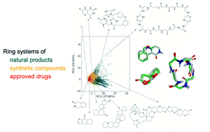 Graphical abstract: Ring systems in natural products: structural diversity, physicochemical properties, and coverage by synthetic compounds