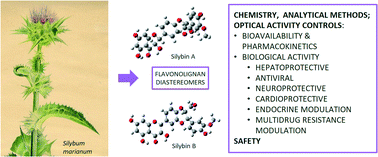 Graphical abstract: Silybin and its congeners: from traditional medicine to molecular effects