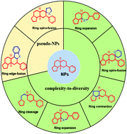 Graphical abstract: Recent ring distortion reactions for diversifying complex natural products