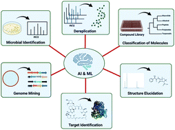 Graphical abstract: Artificial intelligence in microbial natural product drug discovery: current and emerging role