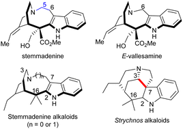 Graphical abstract: Chemistry, bioactivity, biosynthesis, and total synthesis of stemmadenine alkaloids