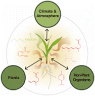Graphical abstract: Dynamic environmental interactions shaped by vegetative plant volatiles