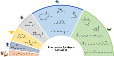 Graphical abstract: Recent advances in the synthesis of insect pheromones: an overview from 2013 to 2022