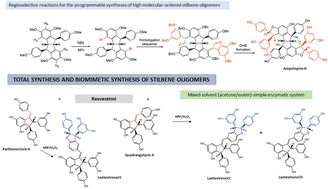 Graphical abstract: Production of high molecular-ordered stilbene oligomers for the study of their biological activity: total synthesis, bio-catalyzed synthesis and production by plant systems