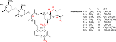 Graphical abstract: Natural nematicidal metabolites and advances in their biocontrol capacity on plant parasitic nematodes