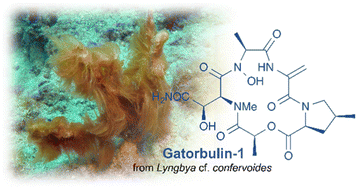 Graphical abstract: Marine natural products