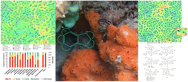 Graphical abstract: Marine indole alkaloid diversity and bioactivity. What do we know and what are we missing?