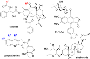 Graphical abstract: Discovery and development of botanical natural products and their analogues as therapeutics for ovarian cancer