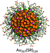 Graphical abstract: A theoretical study of the monolayer-protected gold cluster Au317(SR)110