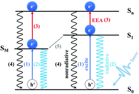 Graphical abstract: Twist-angle-controlled neutral exciton annihilation in WS2 homostructures