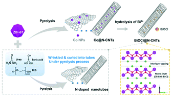 Graphical abstract: Encapsulation of BiOCl nanoparticles in N-doped carbon nanotubes as a highly efficient anode for potassium ion batteries