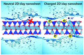 Graphical abstract: Charge-induced proton penetration across two-dimensional clay materials