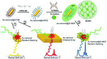 Graphical abstract: Assembly of gold nanorods functionalized by zirconium-based metal–organic frameworks for surface enhanced Raman scattering