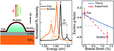 Graphical abstract: Revealing the impact of strain in the optical properties of bubbles in monolayer MoSe2