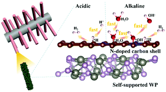 Graphical abstract: Unveiling the advantages of an ultrathin N-doped carbon shell on self-supported tungsten phosphide nanowire arrays for the hydrogen evolution reaction experimentally and theoretically