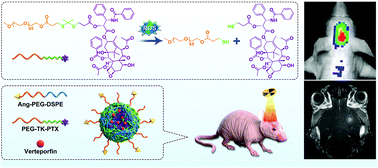 Graphical abstract: Rational design of ROS-responsive nanocarriers for targeted X-ray-induced photodynamic therapy and cascaded chemotherapy of intracranial glioblastoma