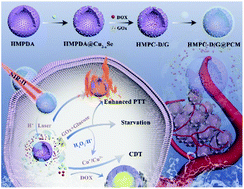 Graphical abstract: Precisely NIR-II-activated and pH-responsive cascade catalytic nanoreactor for controlled drug release and self-enhanced synergetic therapy