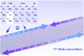 Graphical abstract: Regulating the electronic and magnetic properties of 1T′-ReS2 by fabricating nanoribbons and transition-metal doping: a theoretical study