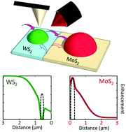 Graphical abstract: Coupling nanobubbles in 2D lateral heterostructures