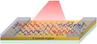 Graphical abstract: Robust pure spin current induced by the photogalvanic effect in half-silicane with spatial inversion symmetry