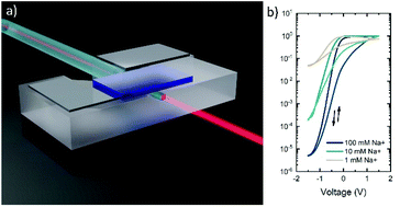 Graphical abstract: On-chip high ion sensitivity electrochromic nanophotonic light modulator