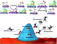 Graphical abstract: Unravelling the key factors in the chlorine-promoted epoxidation of ethylene over a silver–copper oxide nanocatalyst