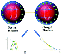 Graphical abstract: Observation of high-density multi-excitons in medium-size CdSe/CdZnS/ZnS colloidal quantum dots through transient spectroscopy and their optical gain properties