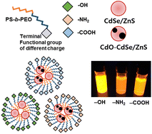 Graphical abstract: Oxidation of quantum dots encapsulated in block copolymer micelles as a function of polymer terminal charge