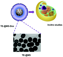 Graphical abstract: Egg-yolk core–shell mesoporous silica nanoparticles for high doxorubicin loading and delivery to prostate cancer cells