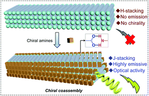 Graphical abstract: Efficient chirality transfer from chiral amines to oligo(p-phenylenevinylene)s to fabricate chiroptical materials