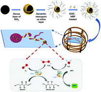 Graphical abstract: Honeycomb-like active microswarms for magnetically tunable cascade enzyme catalysis